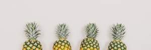 Four step pattern of discipleship pineapples