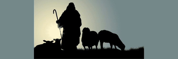 Shepherd with Sheep